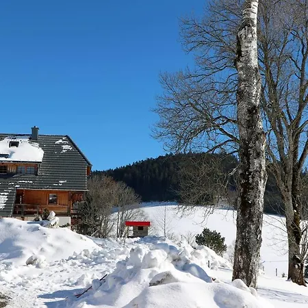 Balzenhof Apartamento *