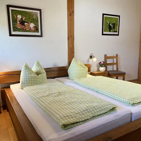 Apartamento Balzenhof *