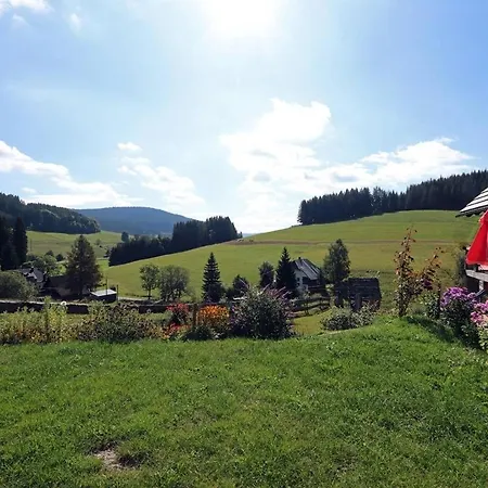 Lägenhet Balzenhof Titisee-Neustadt